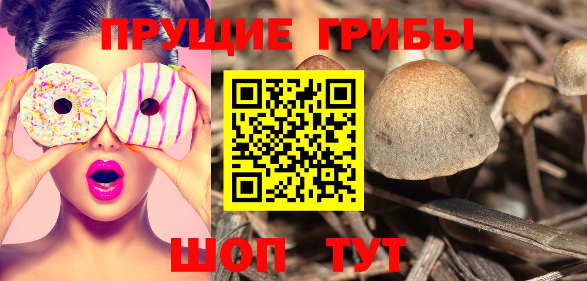 Галлюциногенные грибы прущие грибы  Вход с VPN  Псилоцибиновые грибы Psilocybe  Кизилюрт 