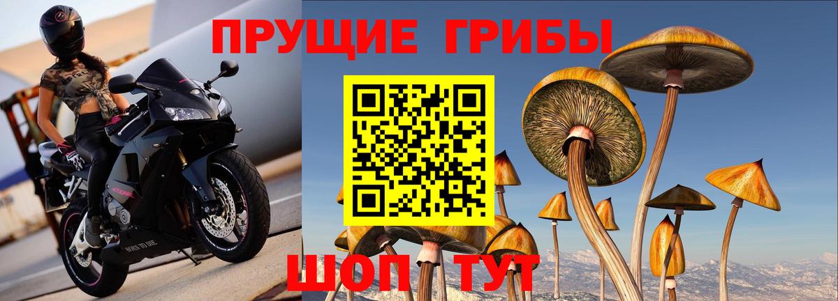 Галлюциногенные грибы прущие грибы Кизилюрт